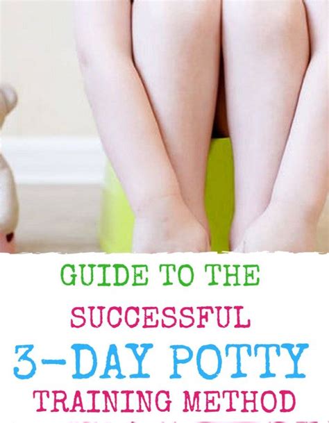 Newbie Guide To The Successful 3 Day Potty Training Method Potty