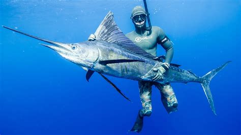 Tonga Spearfishing Hd Episode1 47kg Sailfish Youtube