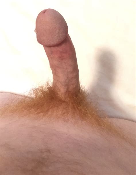 Very Hairy Ginger Cocks Xxx Porn