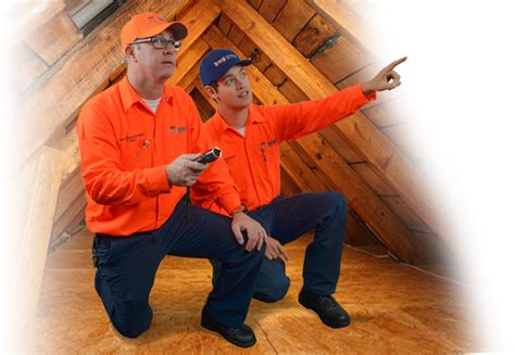 Florida pest control now offers rodent control services. Pest Control Experts - Pest, Termite, and Rodent Control ...
