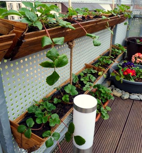Get the woodworking plans to make your own! Container Gardening : DIY Strawberry Planter -Easy and ...