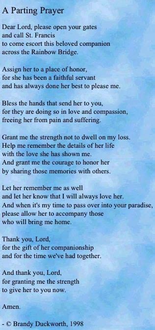 There are lots of beautiful ways to memorialize your dog after he crosses the rainbow bridge, but that isn't necessarily comforting in the days immediately before and after a that's because vets see this kind of loss every day, and they often know exactly how to support and comfort a grieving pet parent. dcf278c2f92d056b26ec19698bc4bbba.jpg (316×670) | Dog poems ...