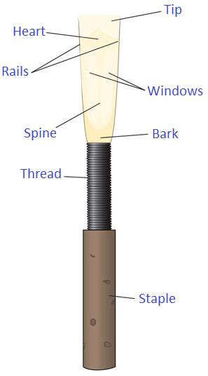 Oboe