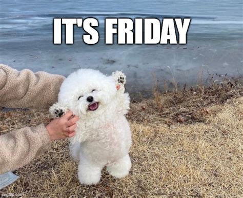 Happy Friday Meme Puppy