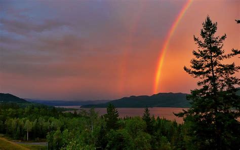 Forest Lake Golden Time Red Thunderstorm Rainbow Canim Lake