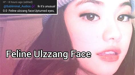 Feline Ulzzang Face°° Subliminal 《 Epicanthic Folds V Shaped Face