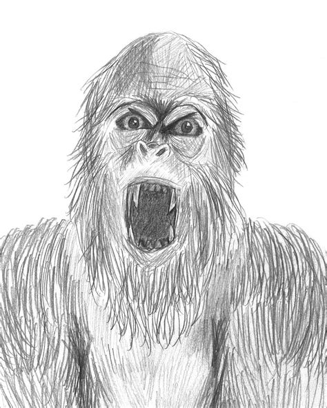 Bigfoot Drawing Etsy