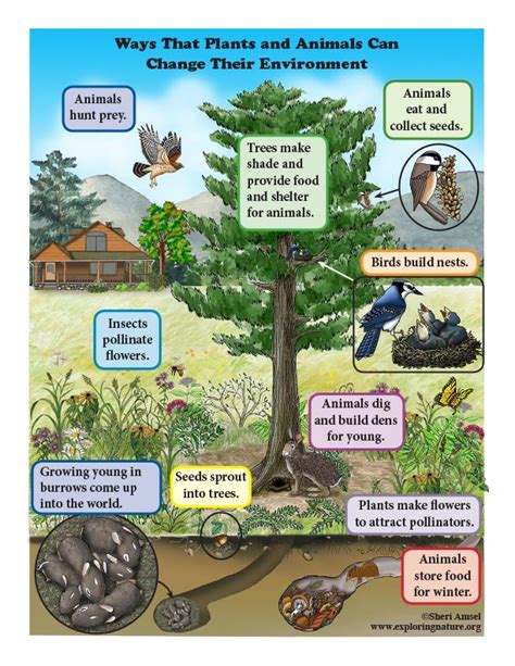 Kindergarten K Ess2 Earths Systems