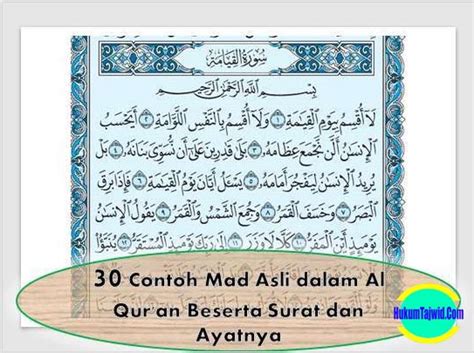 Lihat 11 Contoh Mad Lin Dalam Al Quran Beserta Suratnya Contoh Surat
