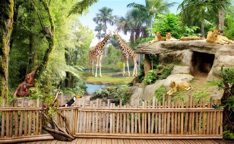 Zoo Animals High Quality Wall Murals With Free Us Delivery Photowall