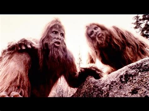 Epic Bigfoot Horror Movie Collection K Blu Ray Dvd Rare Titles Oop Sasquatch Yeti Yowie Skunk