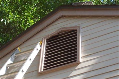 The hole into the side of the dormer needs patched and the siding needs put back in place. How To Get Rid Of Squirrels In The Attic