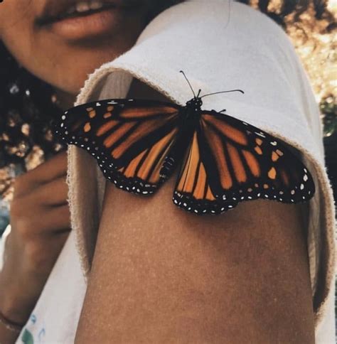 Maybe you would like to learn more about one of these? PINTEREST: Summer Queen | Orange aesthetic, Butterfly ...