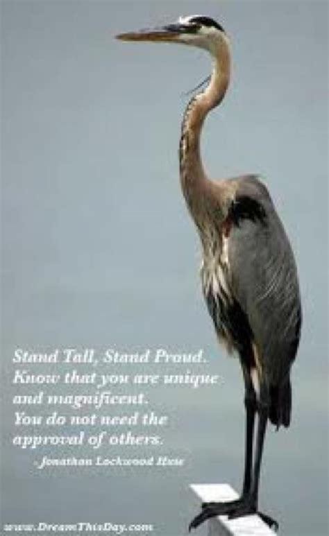 Standing Tall Picture Quotes Proud Quotes Celebration Quotes