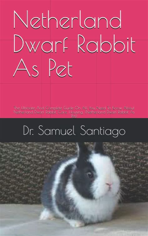 Buy Netherland Dwarf Rabbit As Pet The Ultimate And Complete Guide On
