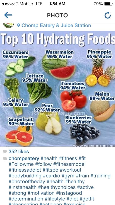 Foods That Keep You Hydrated Musely