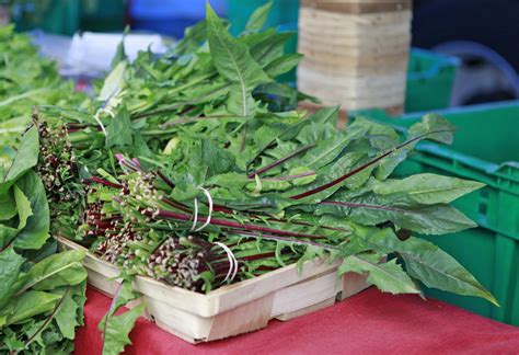 8 Edible Weeds To Start Foraging Now Foodprint