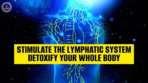 Stimulate The Lymphatic System Detoxify Your Whole Body Reverse