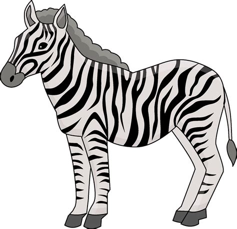 Zebra Clip Art Transparent