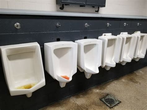 These Urinals In The Men S Room On The Lower Level Of The Edward Bok