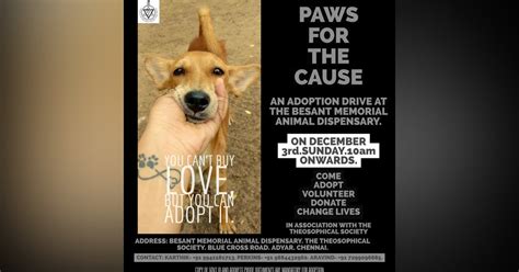 Adoption Drive Paws For A Cause Lbb