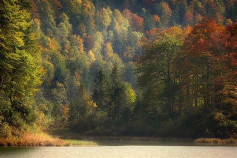 Free Image On Pixabay Tree Autumn Landscape Nature Landscape