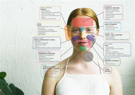 Ayurvedic Face Mapping Face Mapping Face Mapping Acne Face Acne