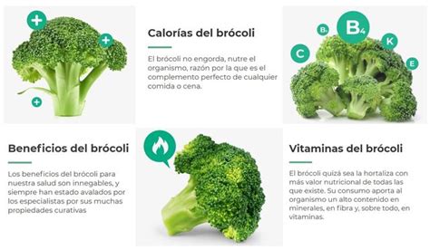 Brócoli Beneficios Propiedades Y Valor Nutricional ¡guía Completa