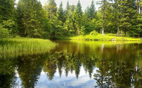 Photo Landscape Forest Lake Nature Reflection River Wilderness