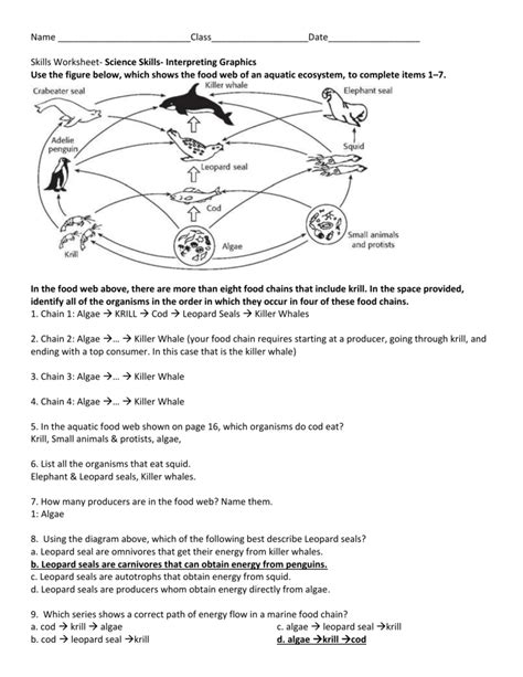 Food Chains And Food Webs Skills Worksheet Answers — Db
