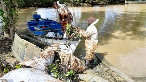 Trinidad Fishermen Battle Oil Spills