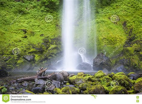 Elowah Falls Columbia Gorge Oregon Stock Photo Image Of Stream
