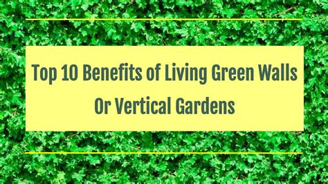 Top 10 Benefits Of Living Green Walls Or Vertical Gardens Farsana