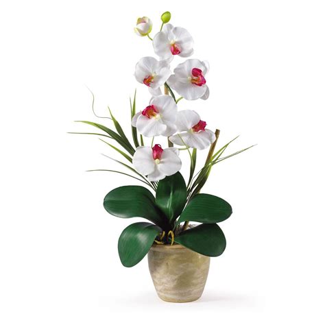 Mauve Nearly Natural 1017 Ma Triple Phalaenopsis Silk Orchid Flower Arrangement New Goods