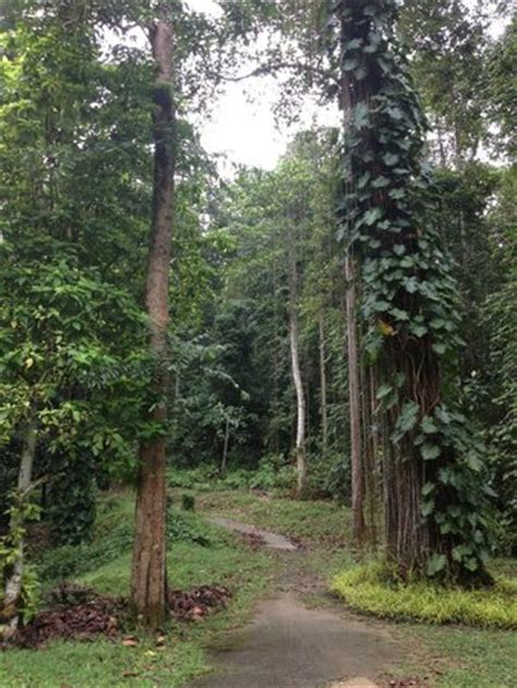Taman botani negara shah alam (bahasa inggeris: Taman Botani Negara Shah Alam - 2021 All You Need to Know ...