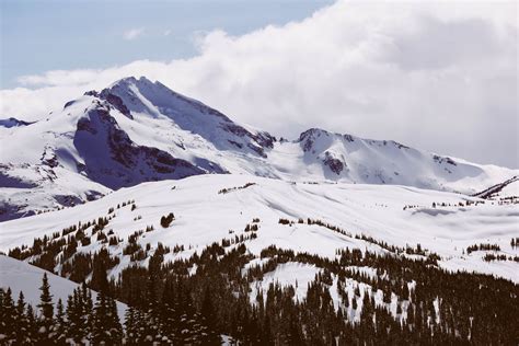 A Snow Covered Mountain Top Lined With Evergreen Trees Snowy Mountain