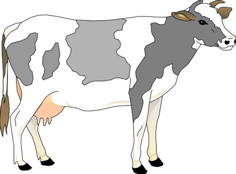 Download High Quality Cow Clipart Realistic Transparent Png Images