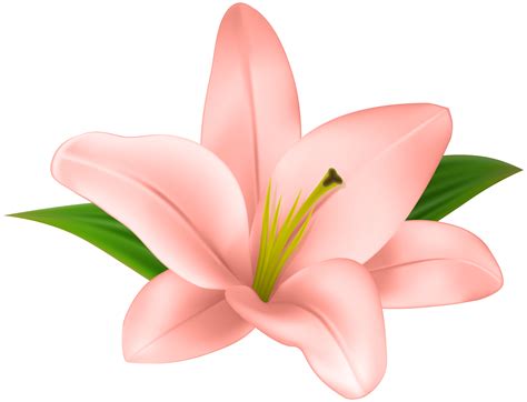 Lily Clipart Flower Boquet Picture 1551601 Lily Clipart Flower Boquet