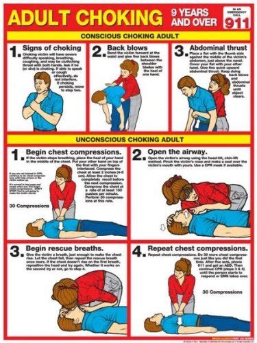 Choking For Adults 18 X 24 Laminated Poster By Fitnus Chart Series