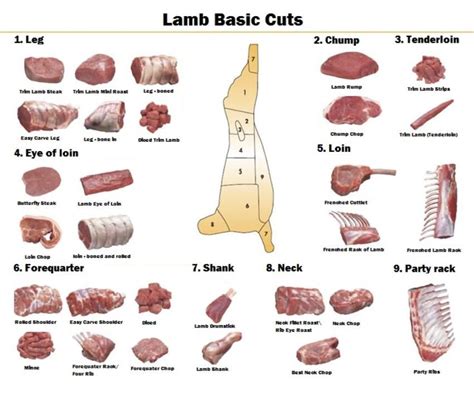 Read our guide to the various cuts of meat and make more informed purchasing decisions. Meat - Tall Spruce Farm