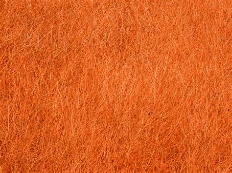 Orange Texture Background Free Stock Photo Public Domain Pictures