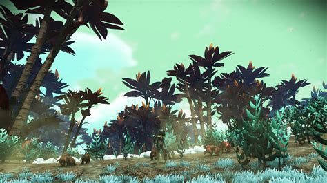 Another Awesome World Rnomansskythegame