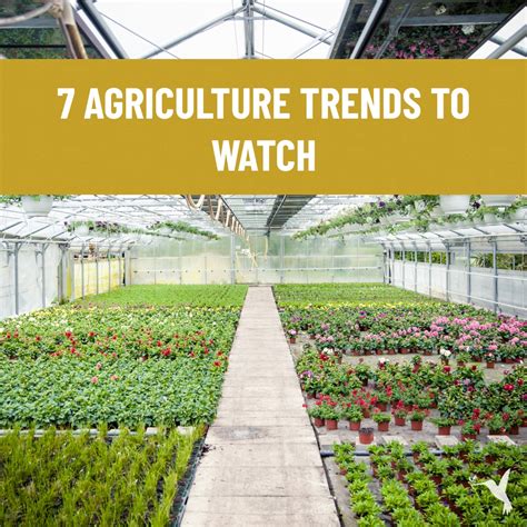 7 Agriculture Trends To Watch Producers Stories