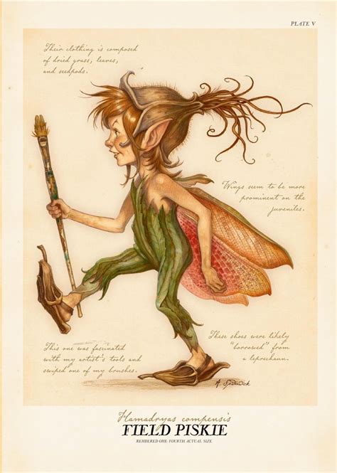 Arthur spiderwick's field guide to the fantastical world around you, also known simply as arthur spiderwick's fi. Arthur Spiderwick's Field Guide | Spiderwick, Fairy art, Spiderwick chronicles