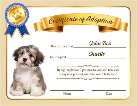 Certificate of Pet Adoption to Our Family. Editable Printable Adoption