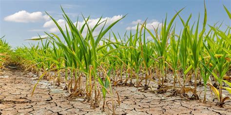 Shift To ‘flash Droughts As Climate Warms Lab Manager