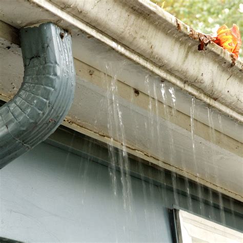 The Top 7 Gutter Problems And How To Fix Them Universal Windows Direct