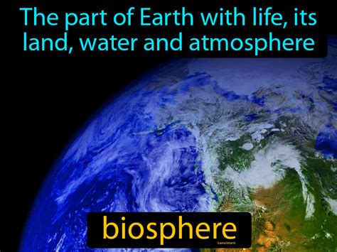 Biosphere Easy To Understand