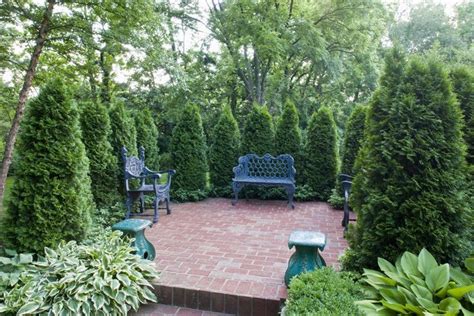 Mark Your Property Lines With Plants Arborvitae Landscaping Emerald