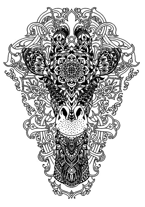 Head Of A Giraffe Giraffes Adult Coloring Pages